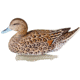 Flambeau Classic Pintail Decoy
