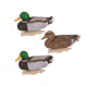 Flambeau Storm Front Classic Mallard Decoys -6 Pack 5001161