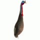 Plano Funky Chicken, Turkey Decoy, FG-DCOY-00310