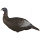 Flextone Thunder Chick Decoy Upright Hen, Brown, FLX-FLXDY315