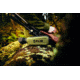 FLIR Systems Scion OTM136 - Thermal Monocular, 320x240, 12um, 60Hz, 13.8mm, Green, 7TM-01-F210