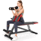 Flybird Fitness Multi Function Roman Chairs, 7888024502530