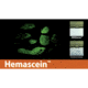 Forensics Source Hemascein Kit For Detection And Ident 4-7822