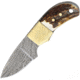 Fox-N-Hound Mini Skinner Damascus Knife, 1.75 Damascus steel blade, Stag bone handle, # 22 / FH121