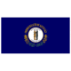 Fox Outdoor 3ft x 5ft State Flags, Kentucky, 84-617