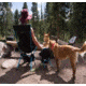 The Best Camping Chairs and Furniture