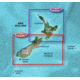 Garmin On The Water GPS Cartography BlueChart g2 Vision: New Zealand Small Map w/ Free S&amp;H