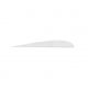Gateway Feathers, White 4 in. LW 100 pk., 400LPSFW-100