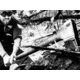 Gerber 36inch Splitting Axe - Card - 31-003636