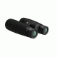 German Precision Optics GPO PASSION ED 10x56ED Binocular, Charcoal Black, 10x56ED, B420