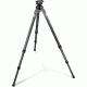 Gitzo SER.3 6X 3S. + HEAD SYST.KIT GK3580QRS