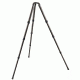 Gitzo SER.5 6X Systematic Carbon Tripod 4Section Long, Eye Level GT5542LS