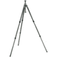 Gitzo Series 2 Carbon 6x Leveling Tripod - 3 Section G-lock GT2530LVL