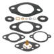GLM 40470 Diaphragm &amp; Gasket Kit, 40470