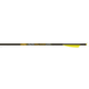 Gold Tip Ballistic Pro Bolts, 22 in. 3.5 in. Vanes 6 pk. BAPRO22A46LI