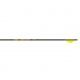 Gold Tip Hunter Pro Arrow, 300 Raptor Vane 6 pk., HPRO300A26