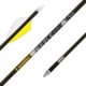 Gold Tip Kinetic Pierce Platinum Arrows 250, 2.75 in. 4 Fletch, 6 Pack, PLATINUMN250A2746