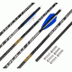 Gold Tip Valkyrie XT Arrow 340 4 Fletch, Black, Pack of 6, VALXT340A2746