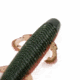 Googan Squad Bandito Slim 4in Bait