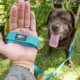 Goruck Dog Leash, DL-7001
