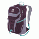 Granite Gear Champ Backpack Fits 15.5in Laptops, Gooseberry / Lilac / Stratos, 29.5 L 1000016-6005