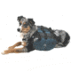 Granite Gear Ruff Rider Dog Pack - Red/Wrought Iron S
