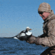 Greenhead Gear Commercial Grade Long-Tailed Ducks Foam Filled,1/2 Dozen 74027