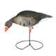 Greenhead Gear FFD Elite Full Body Specklebelly Decoy,Harvester Pack,1/2 Dozen 71813
