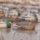 Greenhead Gear Mallards Decoy 70003