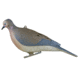Greenhead Gear Mourning Doves,1/2 Dozen 72005