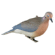 Greenhead Gear Mourning Doves,1/2 Dozen 72005