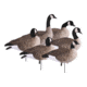 Greenhead Gear Newbold Lesser Canadas Decoy,Active Pack,1/2 dzen 72320