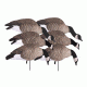 Greenhead Gear Newbold Lesser Canadas Decoy,Feeder Pack,1/2 Dozen 72321