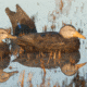 Greenhead Gear Over-Size Duck Decoy,Black Ducks,1/2 Dozen 73015