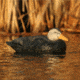 Greenhead Gear Over-Size Duck Decoy,Black Ducks,1/2 Dozen 73015