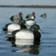 Greenhead Gear Over-Size Duck Decoy,Blue-Bills,1/2 Dozen 73039