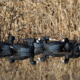 Greenhead Gear Over-Size Duck Decoy,Coots,1/2 Dozen 73014