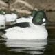 Greenhead Gear Over-Size Duck Decoy,Goldeneyes,1/2 Dozen 73047