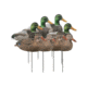 Greenhead Gear Over-Size Duck Decoy,Mallard Shells/Active Pack,Dozen 70166