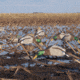 Greenhead Gear Over-Size Duck Decoy,Mallard Shells/Active Pack,Dozen 70166