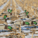 Greenhead Gear Over-Size Duck Decoy,Mallard Shells/Active Pack,Dozen 70166