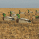 Greenhead Gear Over-Size Duck Decoy,Mallard Shells/Active Pack,Dozen 70166