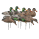 Greenhead Gear Over-Size Duck Decoy,Mallard Shells/Harvester Pack,Dozen 70167