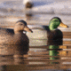 Greenhead Gear Over-Size Duck Decoy,Mallards,1/2 Dozen 73013