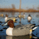 Greenhead Gear Over-Size Duck Decoy,Pintails,1/2 Dozen 73032