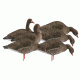 Demo,Greenhead Gear Pro-Grade Full Body Specklebelly Decoy,Harvester Pack,1/2 Dozen 71852