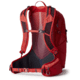Gregory 25 Liters Miko Daypack, Sumac Red, One Size, 145276-9973