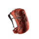 Gregory Citro 30L Daypack - Mens, Brick Red, One Size, 126880-1129