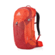 Gregory Citro 36 Daypack - Mens, Vivid Red, 126881-1898