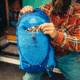 Gregory Miwok 32 Daypack - Mens, Reflex Blue, 126859-0602